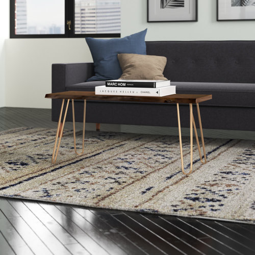 Wayfair Narrow Coffee Tables You'll Love in 2023